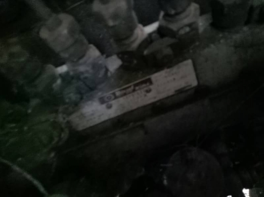 เทนเลอร์หัวยาว