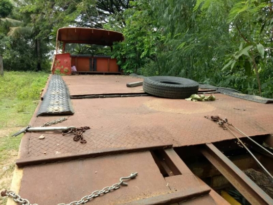 เทนเลอร์หัวยาว