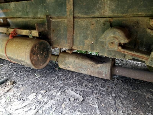 เทนเลอร์หัวยาว