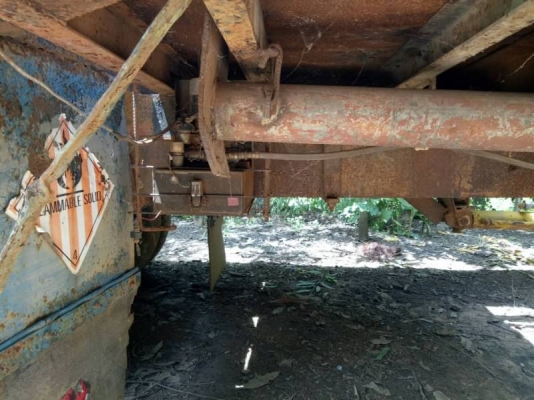 เทนเลอร์หัวยาว