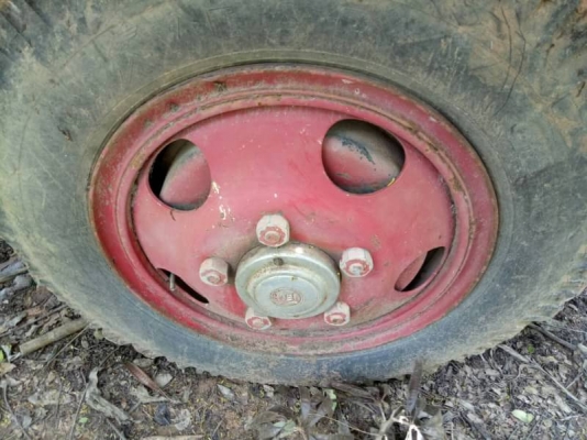 เทนเลอร์หัวยาว