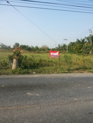 ขายที่ดินแปลงสวย375ตรว. ติดถนนเมนโครงการ แปลงหัวมุม2ด้าน