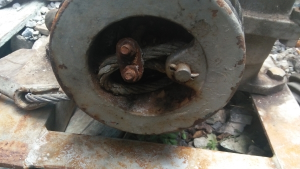 กว้านวินซ์Carter USA