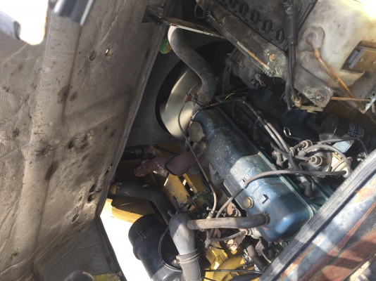 -:-*•*ร ถ ย ก นำ เ ข้ า พ ร้ อ ม ใ ช้ ง า น*•*-:-TCM FG20N5 เครื่องเบนซล เกียร์ธรรมดา เสาสูง4เมตร งาเท สนใจติดต่อ083-062-0223(ปอน) -:-*•*ร ถ ย ก นำ เ ข้ า พ ร้ อ ม ใ ช้ ง า น*•*-:-TCM FG20N5 เครื่องเบนซล เกียร์ธรรมดา เสาสูง4เมตร งาเท สนใจติดต่อ083-062-0223(ปอน)