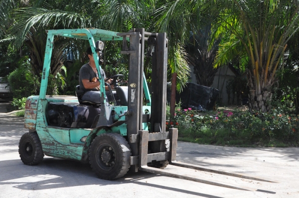ขายFORKLIFT MITSUBISHI FD20ดีเซล สุดสวย(2ตัน) งายาว สวยเดิมจากญี่ปุ่น ยังไม่เคยใช้ในไทย 165,000เท่านั้น!!
