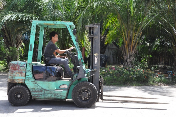 ขายFORKLIFT MITSUBISHI FD20ดีเซล สุดสวย(2ตัน) งายาว สวยเดิมจากญี่ปุ่น ยังไม่เคยใช้ในไทย 165,000เท่านั้น!!