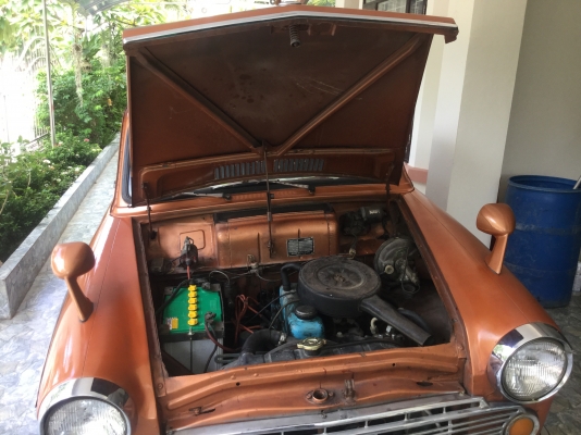 ดัทสัน  บลูเบิด