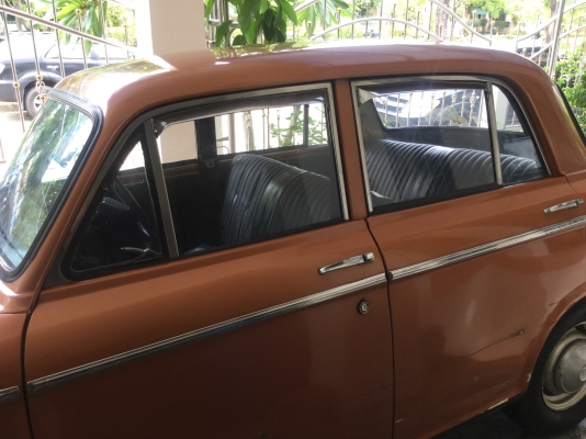 ดัทสัน  บลูเบิด