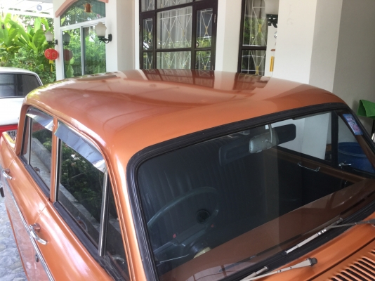 ดัทสัน  บลูเบิด