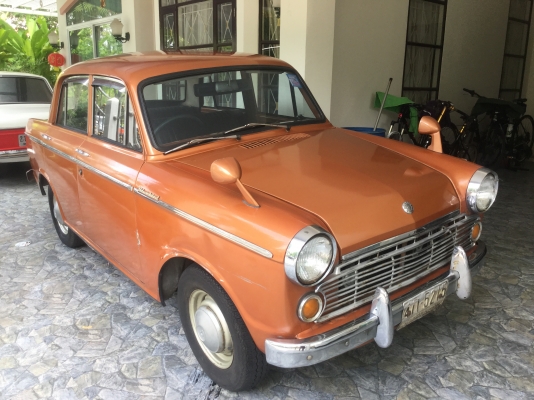 ดัทสัน  บลูเบิด