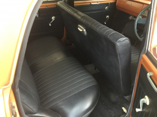 ดัทสัน  บลูเบิด