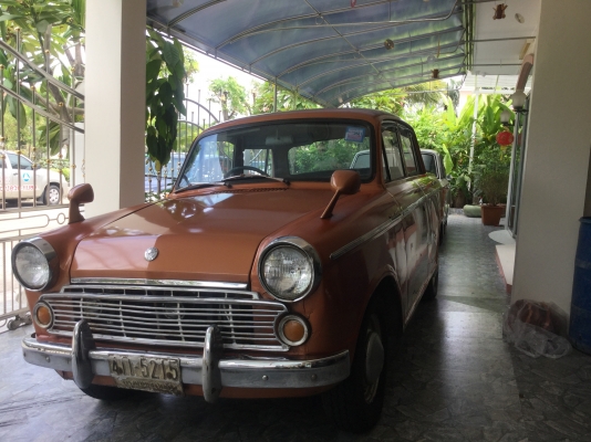 ดัทสัน  บลูเบิด