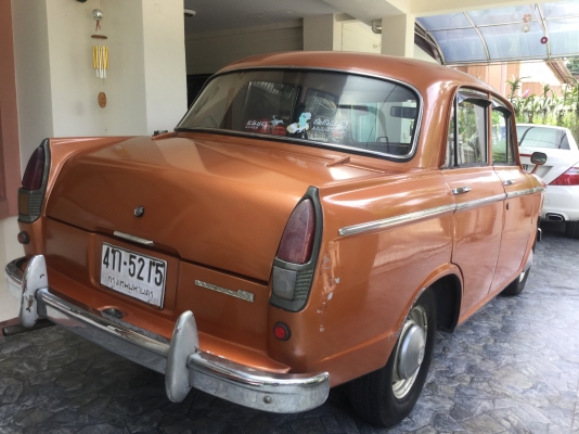 ดัทสัน  บลูเบิด