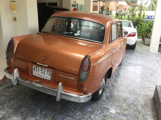 ดัทสัน  บลูเบิด