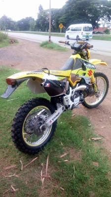 เอ็นดูโล่ ตัวแข่ง สเป็ค ยุโรป