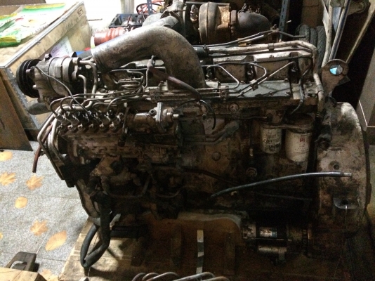 CUMMINS