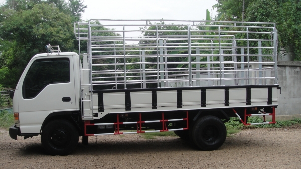ISUZU NPR หัวการ์ตูน คัสฃีKS แอร์ ฟิล์ม เพาเวอร์ ยางเรเดียล6เส้น เครื่องแน่น คัสฃีสวย รถขับดีพร้อมใช ISUZU NPR หัวการ์ตูน คัสฃีKS แอร์ ฟิล์ม เพาเวอร์ ยางเรเดียล6เส้น เครื่องแน่น คัสฃีสวย รถขับดีพร้อมใช