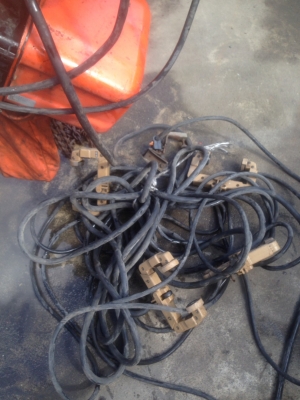 ขายรอก nitchi 1.5 ตัน