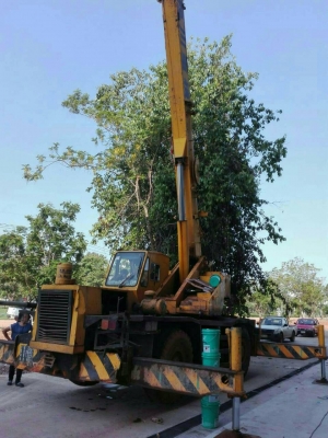 ขายรถเครน 25 KATO