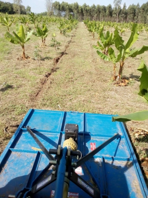 ขายเครื่องตัดหญ้าติดท้ายรถไถฟอร์ด ต่อใหม่ กว้าง 1 เมตร 80 เซ็นติเมตร พร้อมอุปกรณ์ พร้อมใช้งานได้ทันที ราคา 58000 พร้อมส่งทั่วประเทศ