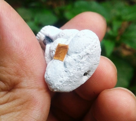 หลวงปู่หมุน วัดบ้านจาน ผงกสิณ พระปิดตารุ่นรวยทันใจ ปี2543