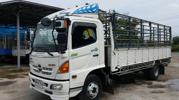 HINO MAGE ซีรี่500 175แรงม้า ยาว5.50 ปี56