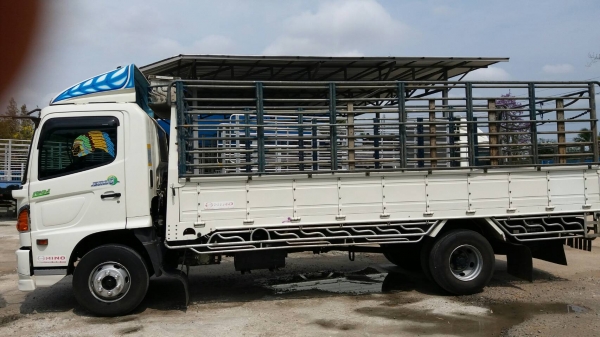 HINO MAGE ซีรี่500 175แรงม้า ยาว5.50 ปี56