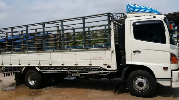 HINO MAGE ซีรี่500 175แรงม้า ยาว5.50 ปี56