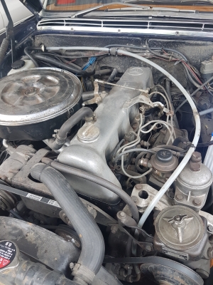 1969 Benz 280S W108 ดีเซล 300D Auto ทะเบียนไม่ขาด 1969 Benz 280S W108 ดีเซล 300D Auto ทะเบียนไม่ขาด