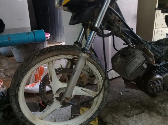 ลีโอสตาร์