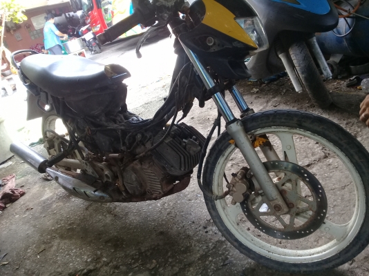 ลีโอสตาร์