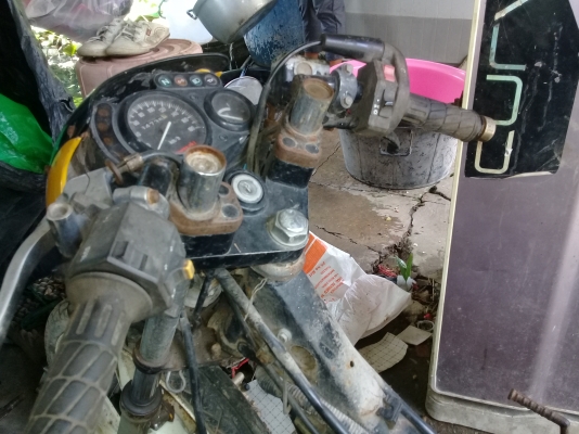 ลีโอสตาร์