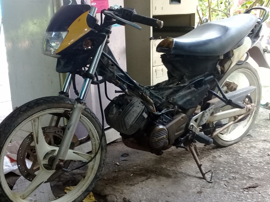 ลีโอสตาร์