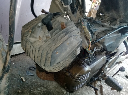 ลีโอสตาร์