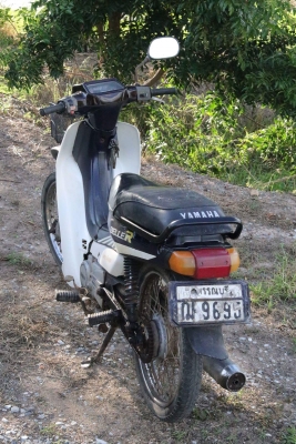 ขายรถพร้อมใช้