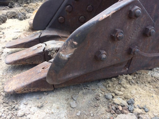 ขายบุ้งกี๋หน้าแคบ 50cm