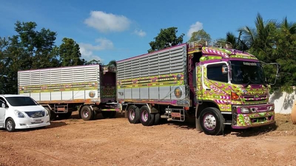 ขาย HINO 344 พ่วงแม่ลูก กระบะเนียมคอกเกษตรดั๊ม อู่ ซีทีทรัค รถปี 57