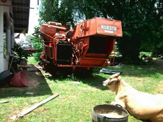 ขายตามสภาพ รถเกี่ยวข้าวคูโบต้านอก พร้อมเทเลอร์ ขายตามสภาพ รถเกี่ยวข้าวคูโบต้านอก พร้อมเทเลอร์