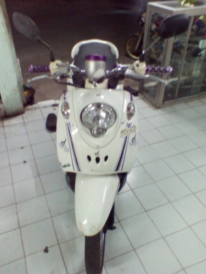 Fino ปี53 เล่มโอน