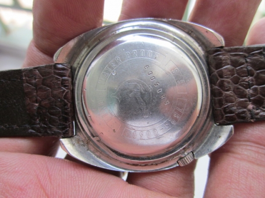 +++++ SEIKO ตัวเขียนหลังปลาวาฬ +++++ +++++ SEIKO ตัวเขียนหลังปลาวาฬ +++++