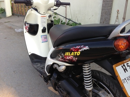 ขายjelatoสีดำปี2554 ขายjelatoสีดำปี2554