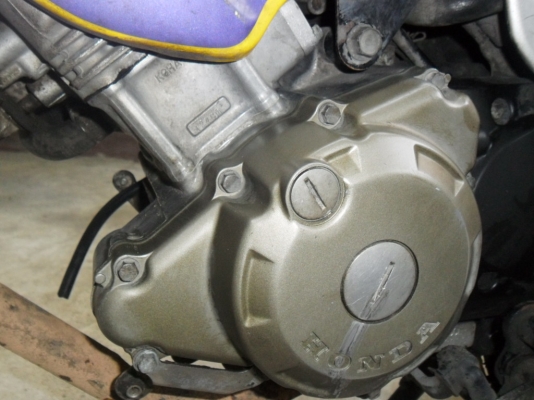 ขายโชนิคตัวเก่า ขายโชนิคตัวเก่า