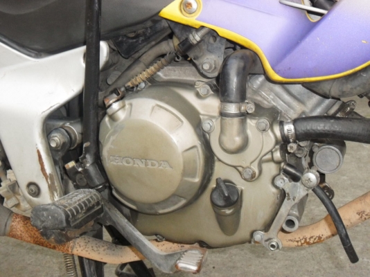 ขายโชนิคตัวเก่า ขายโชนิคตัวเก่า