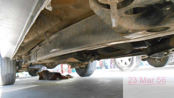 TFR 90HP ปี 97 TFR 90HP ปี 97