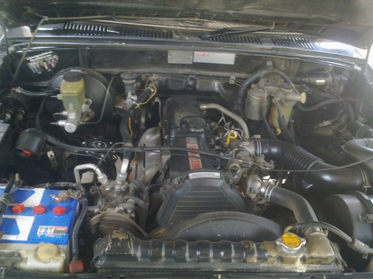 ขายไมตี้เอ็ก ขายไมตี้เอ็ก