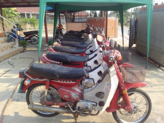 ขายดรีมคุรุสภาทะเบียนโอน หลายคันหลายสีย่านรังสิต มีรถส่งได้ครับ ขายดรีมคุรุสภาทะเบียนโอน หลายคันหลายสีย่านรังสิต มีรถส่งได้ครับ