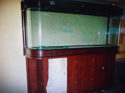 ขายตู้ปลาเฟอร์นิเจอร์ สั่งทำพิเศษ ขนาด กว้าง 18 นิ้ว ยาว 70 นิ้ว สูง(ท่อนบน 30 นิ้ว)  ถอดแยกส่วนได้ พร้อมโคมไฟ ราคา 15000 บาท(ไม่รวมค่าขนส่ง)  เป็นรุ่นกระจกโค้งพิเศษ