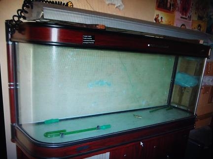 ขายตู้ปลาเฟอร์นิเจอร์ สั่งทำพิเศษ ขนาด กว้าง 18 นิ้ว ยาว 70 นิ้ว สูง(ท่อนบน 30 นิ้ว)  ถอดแยกส่วนได้ พร้อมโคมไฟ ราคา 15000 บาท(ไม่รวมค่าขนส่ง)  เป็นรุ่นกระจกโค้งพิเศษ