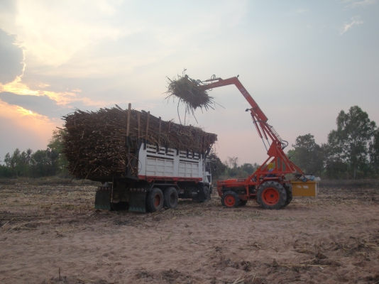 ขายรถคีบอ้อย ขายรถคีบอ้อย