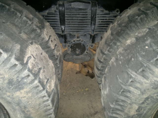 ขายรถ 10 ล้อ 2 เพลา กระบะเนียมดั้ม อู่.ส สุชัย MITSUBISHI MMTFN 527 ปี.44 ปรายปี รถสวย สนใจโทร